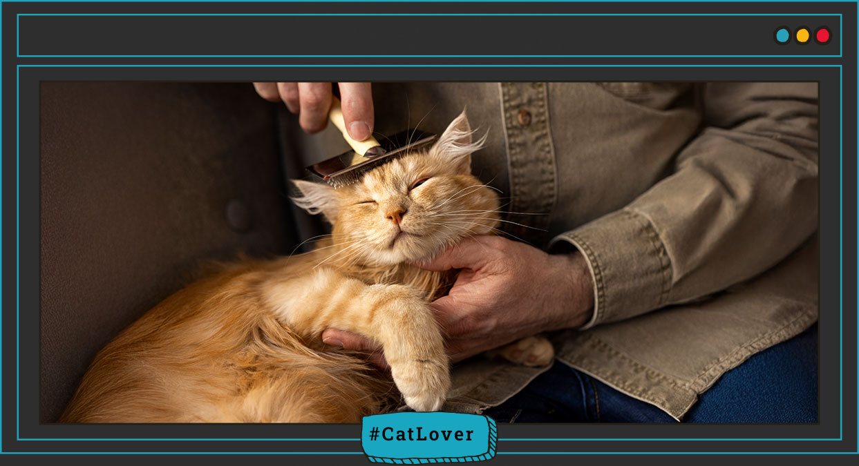 ¿Qué hace la biotina en los gatos?